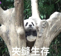 经济不景气,摸鱼打游戏每个月多赚2000大赢特赢,MMO真有这么赚?